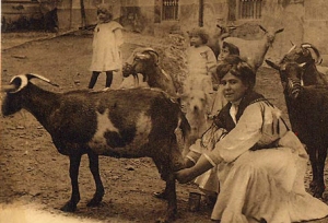 1920 Cordoba
