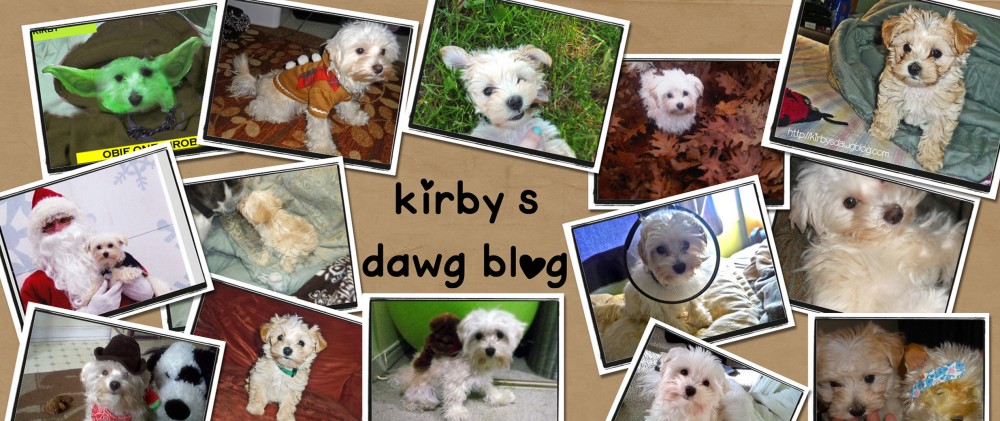 Kirbysdawgblog